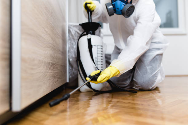 Best Best Pest Control Companies  in Mitchellville, MD