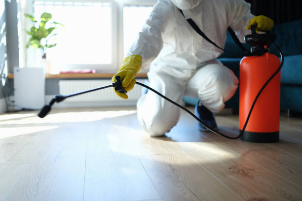 Best Pest Control for Homes  in Mitchellville, MD