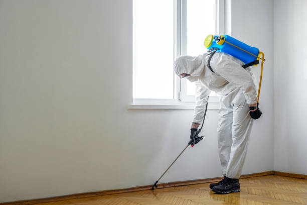 Professional Pest Control in Mitchellville, MD