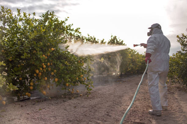 Best Pest Control for Businesses  in Mitchellville, MD
