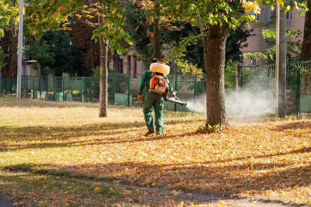 Best Termite Control Services  in Mitchellville, MD
