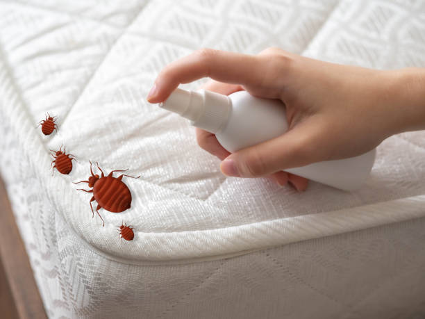 Best Pest Control Near Me  in Mitchellville, MD