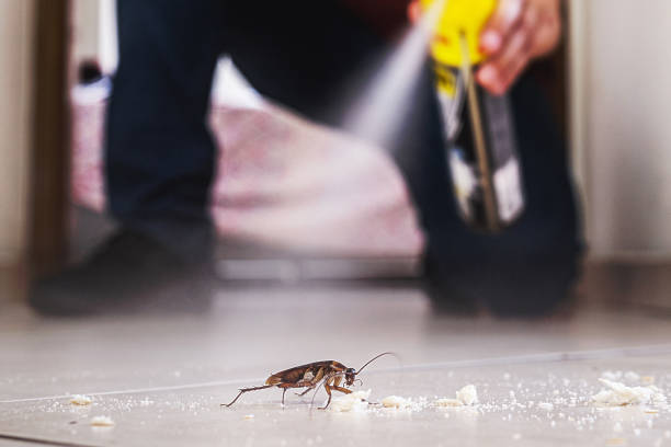 Best Bed Bug Extermination  in Mitchellville, MD