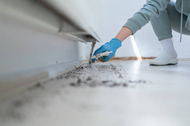 Best Rodent Control Near Me  in Mitchellville, MD