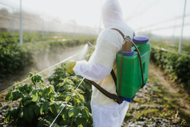 Best Commercial Pest Control Services  in Mitchellville, MD